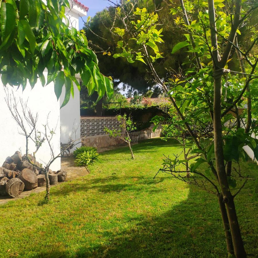 Cala Llanetes Βίλα Vinarós Εξωτερικό φωτογραφία
