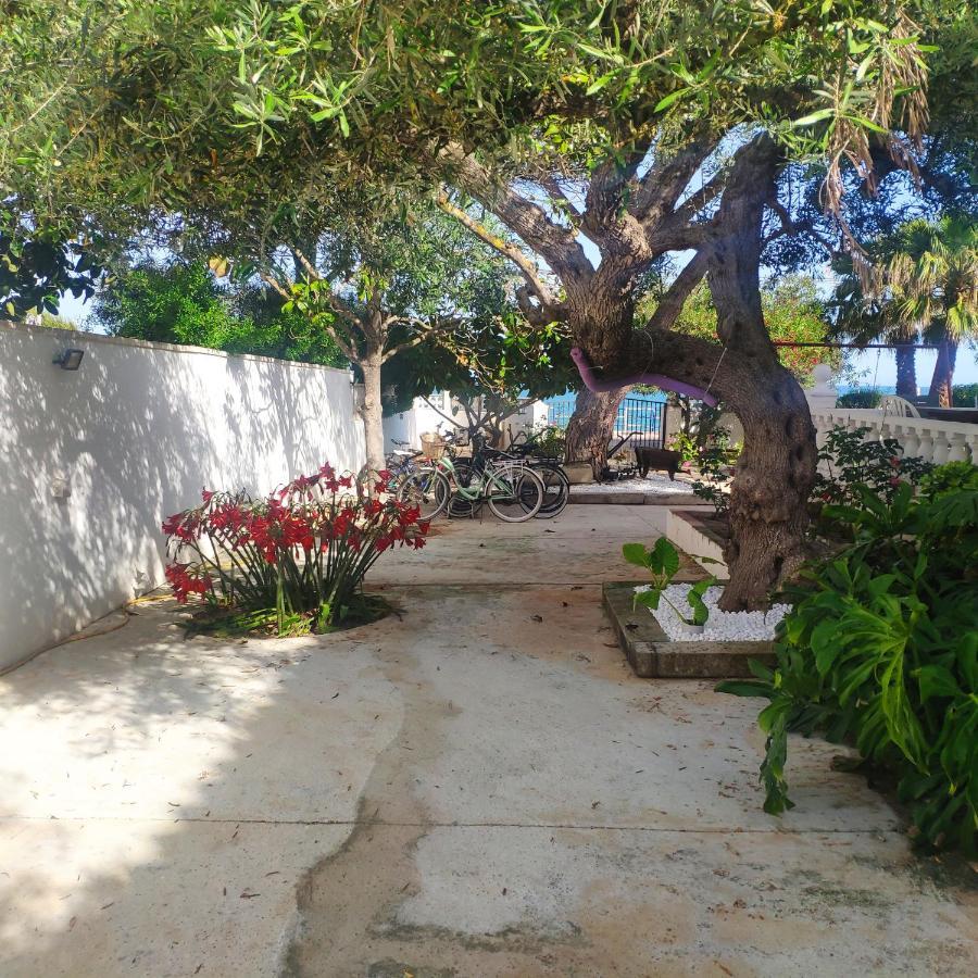 Cala Llanetes Βίλα Vinarós Εξωτερικό φωτογραφία