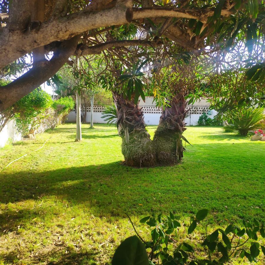 Cala Llanetes Βίλα Vinarós Εξωτερικό φωτογραφία
